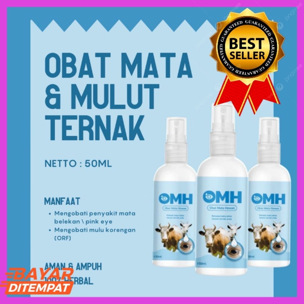 TERLARIS  Obat Belekan Sapi Qurban