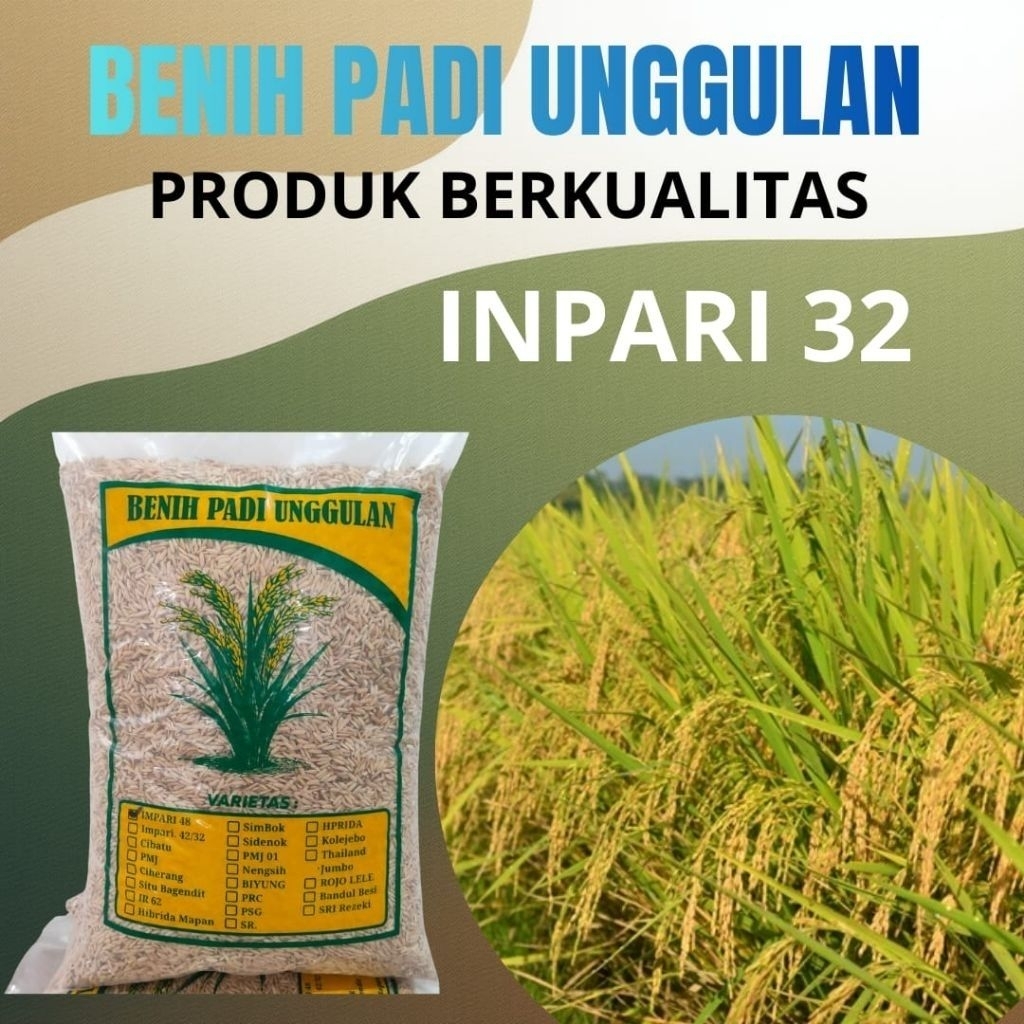 BENIH PADI HIBRIDA INPARI_32 UNGGULAN 5KG