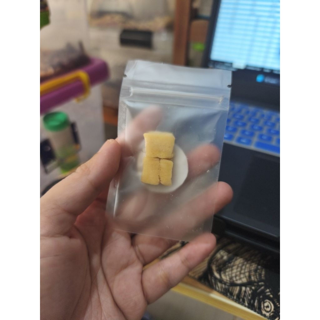Dormice Yoghurt Bites