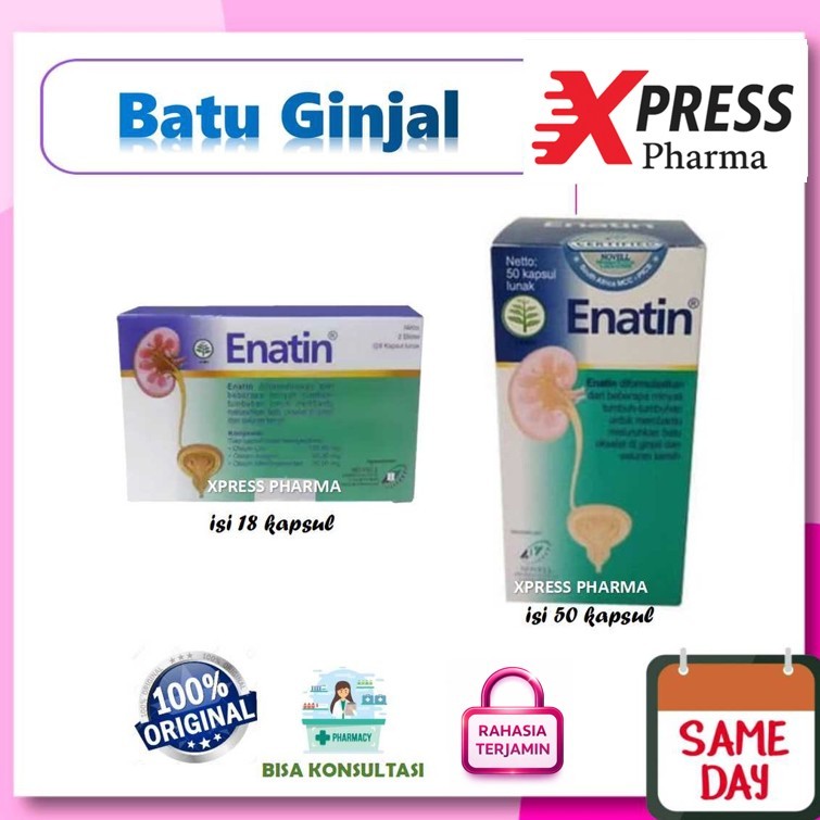 XPRESS  Enatin Botol 50 kapsul