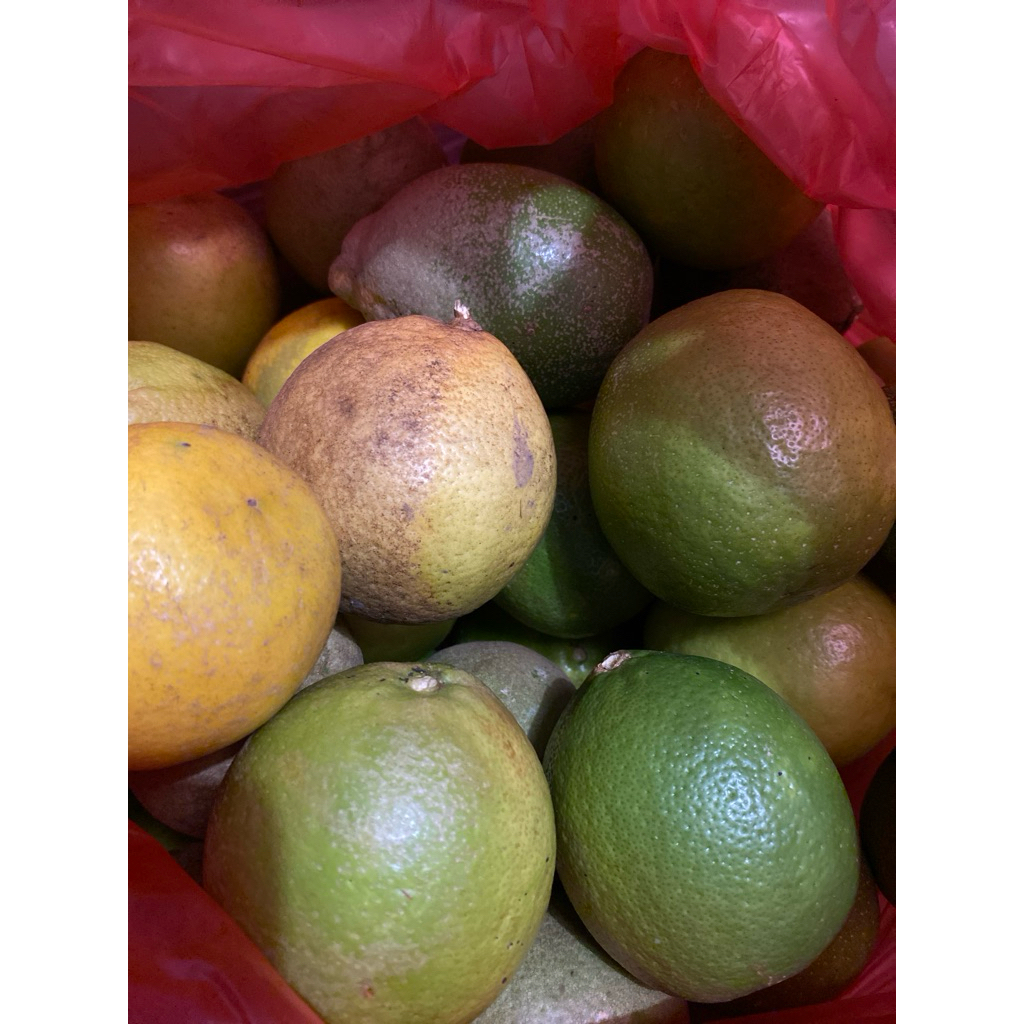 Lemon lokal / lemon fresh