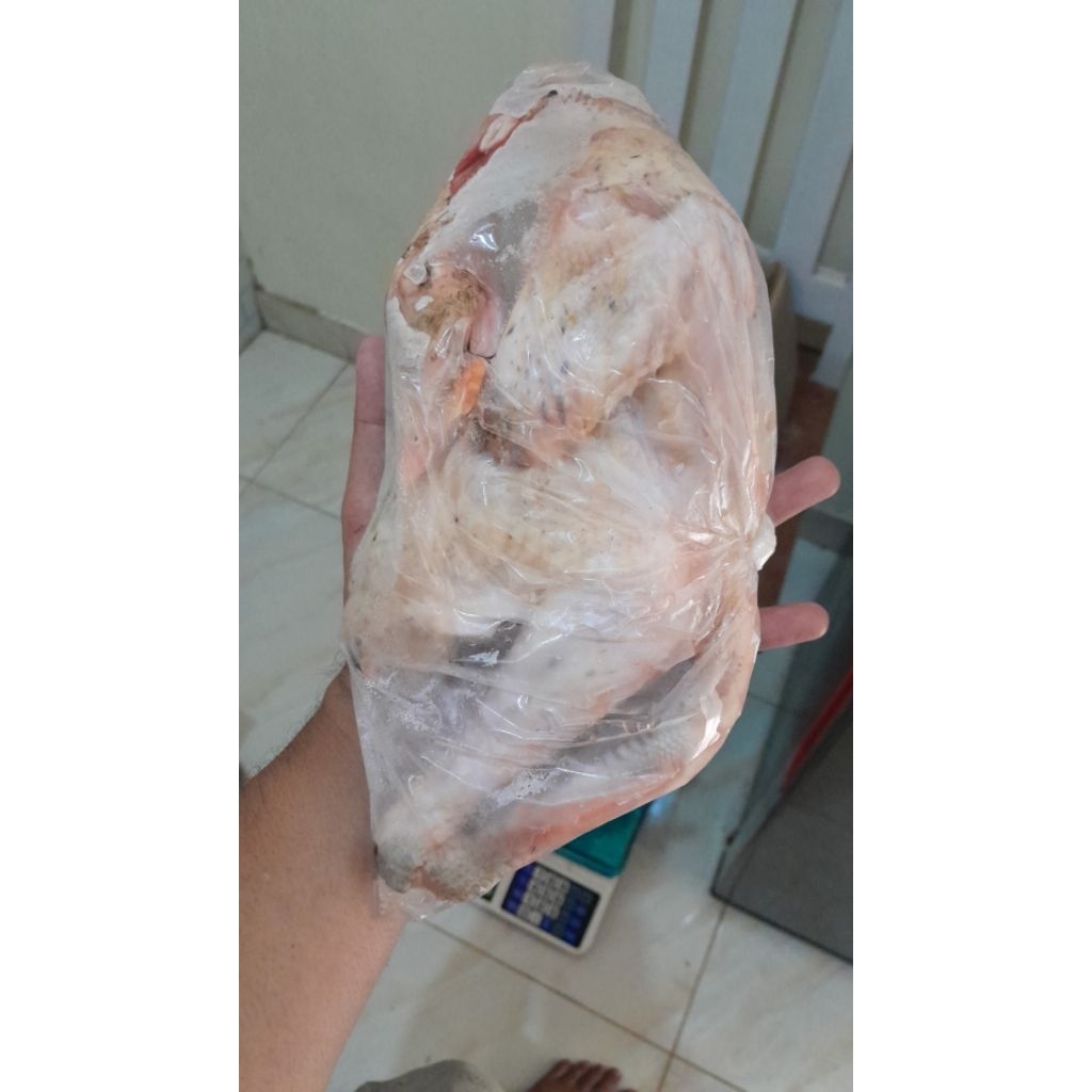 AYAM KAMPUNG FROZEN