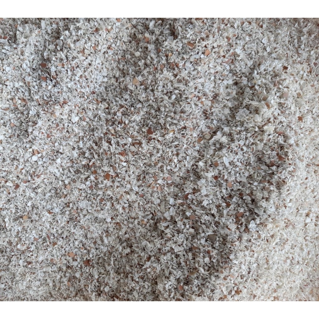 grit merpati kulit telur murni 1 kg
