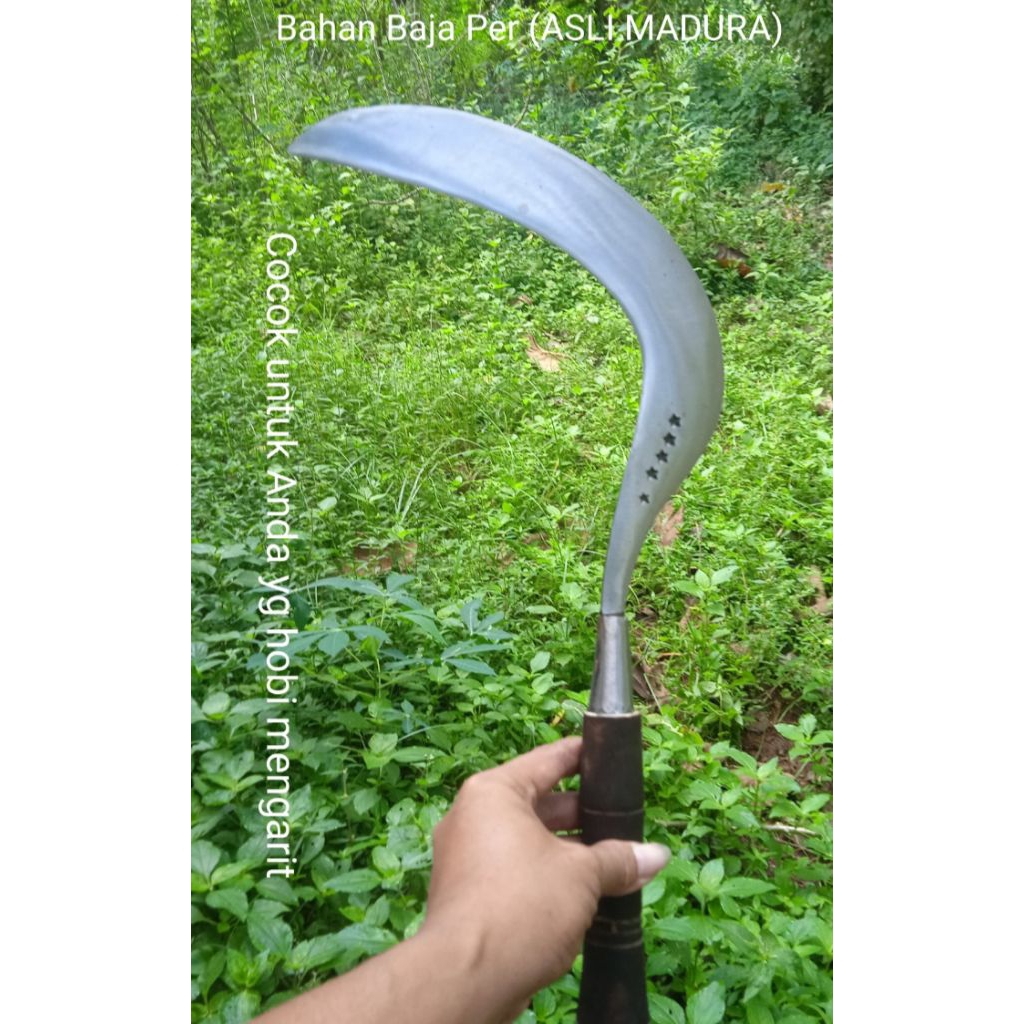1pick Arit Rumput Baja per, bintang lima,asli Madura