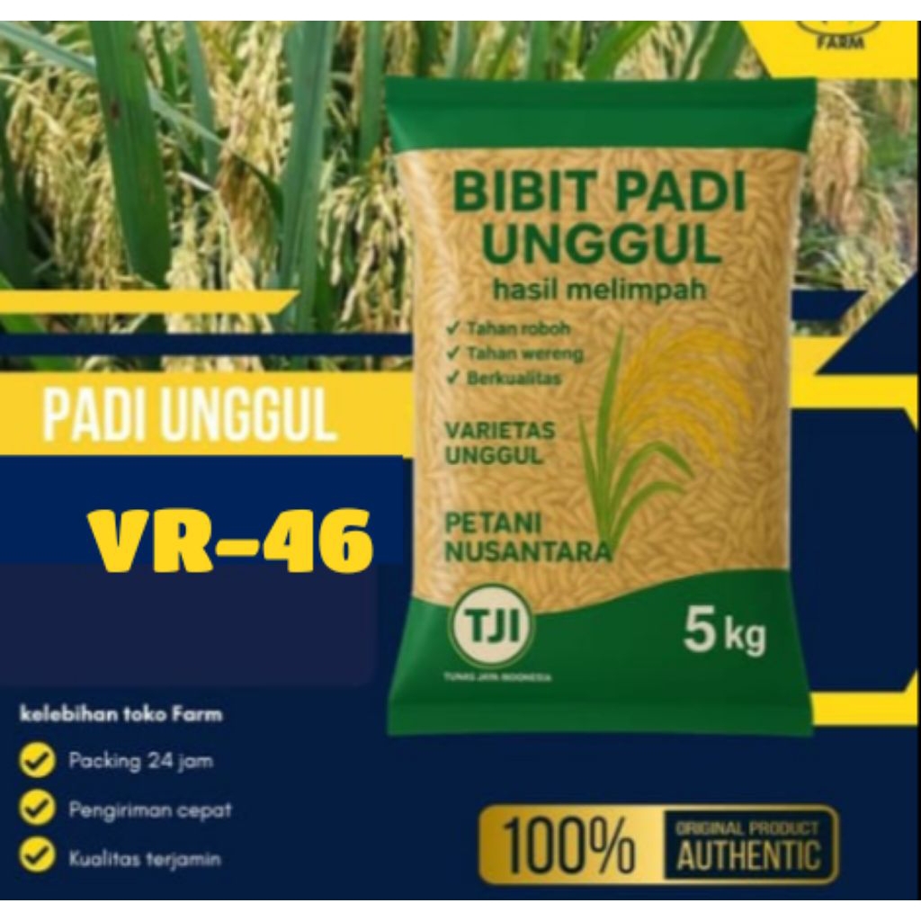 BENIH PADI VR46 kmasan 5kg