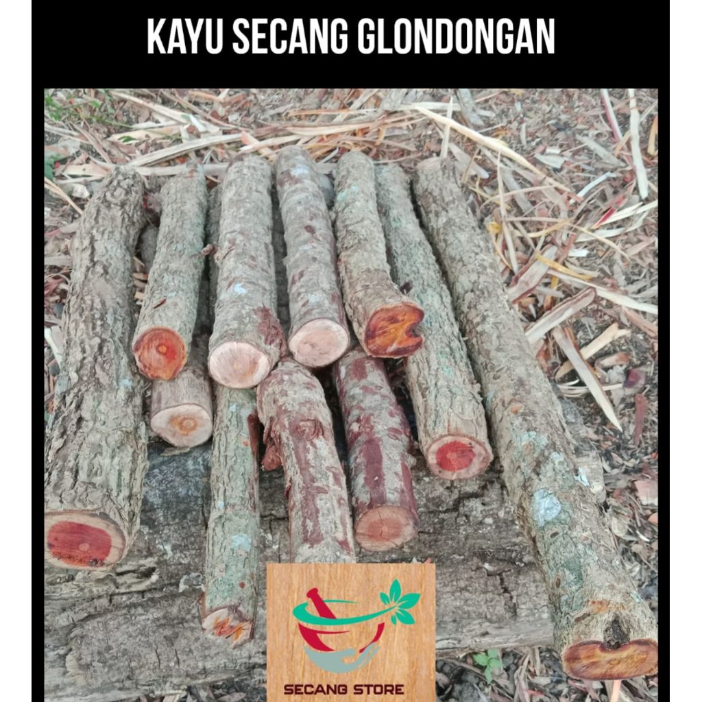 Kayu Secang Glondongan 1 kg Masih Dengan Kulit Fresh