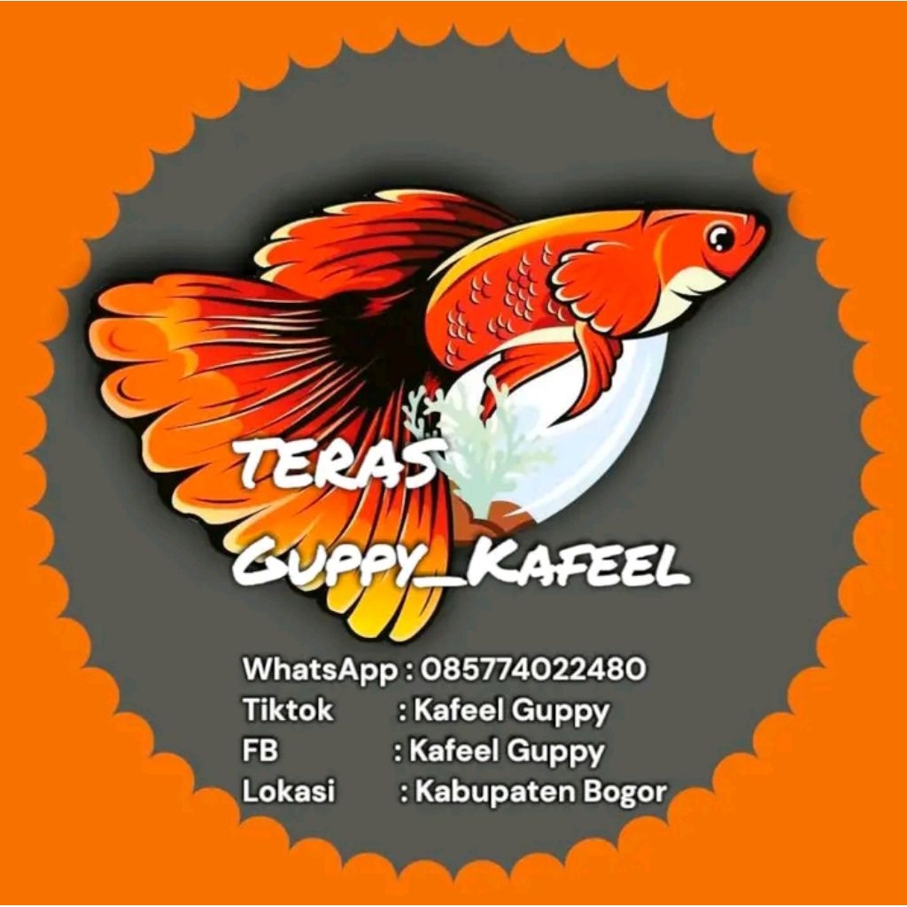 Pembersih Kaca :PRTDE TOP GRADE