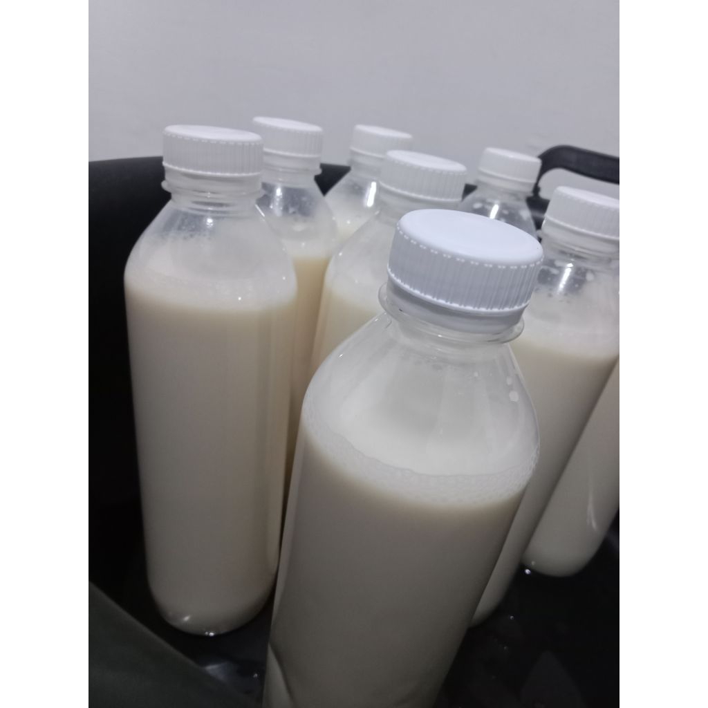 susu kacang kedelai homemade