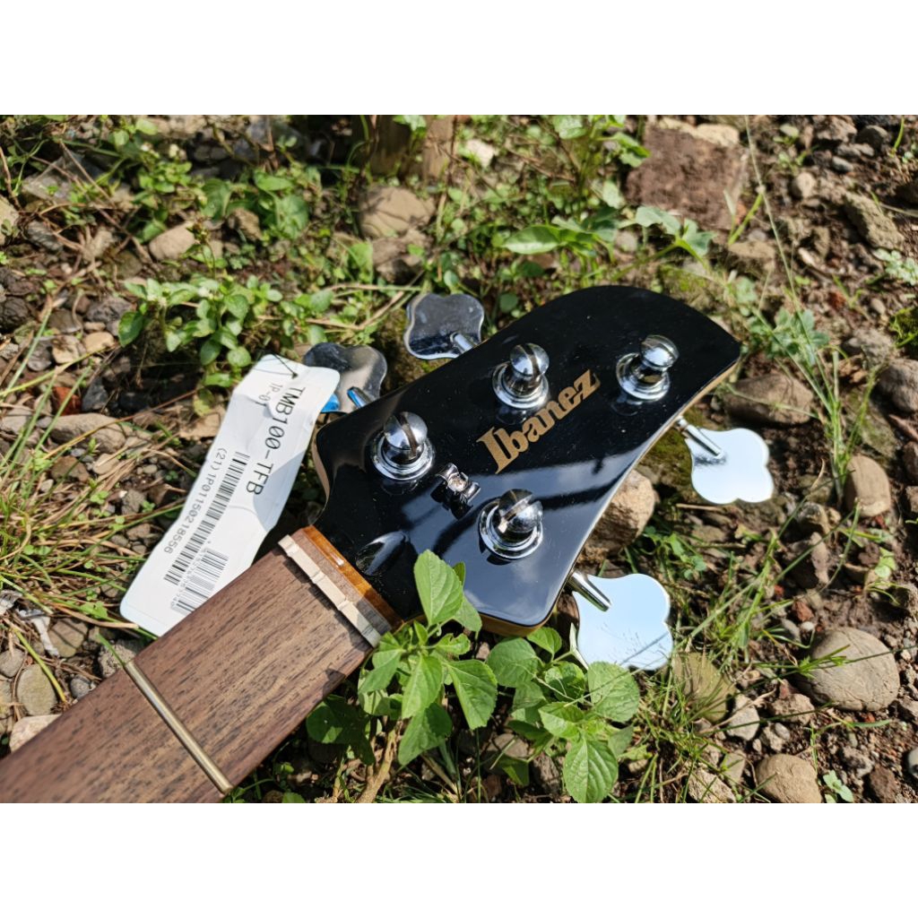 Neck Bass Ibanez TALMAN TMB-100