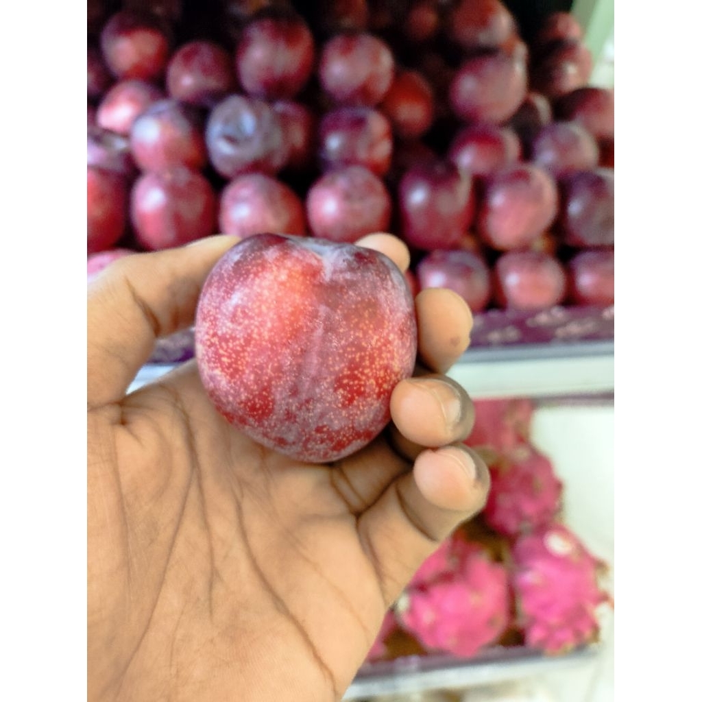 buah plum red candy plum import premium 1kg