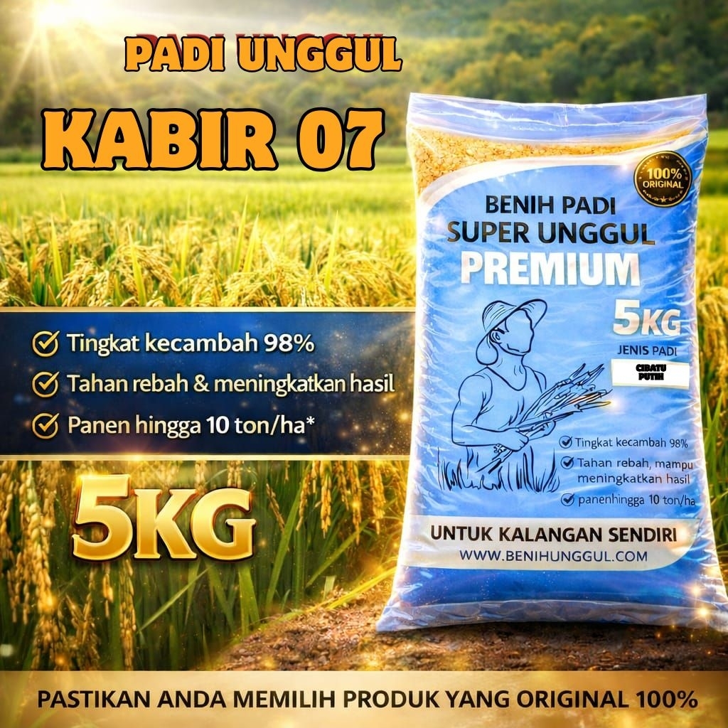 benih Padi Unggul Kabir 07 5Kg Premium Padi Unggul Kabir 07 5 Kg Berkualitas Super