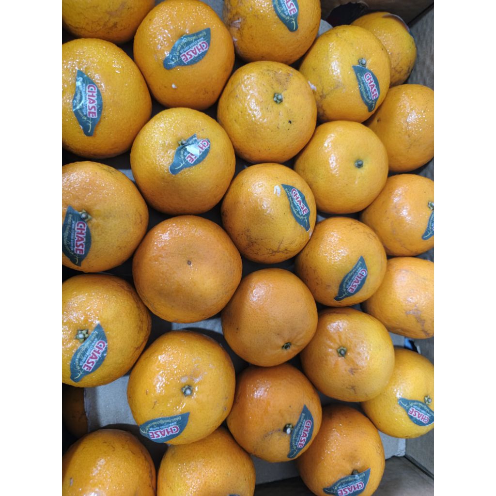 jeruk kino / Mandarin -+1 kg