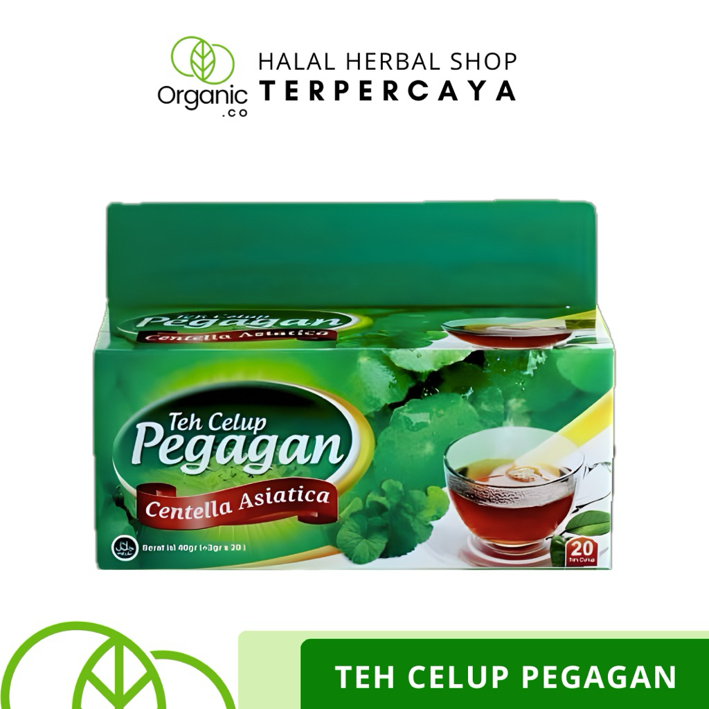 TEH PEGAGAN Darusyifa | Teh Celup Pegagan | Teh Herbal Alami