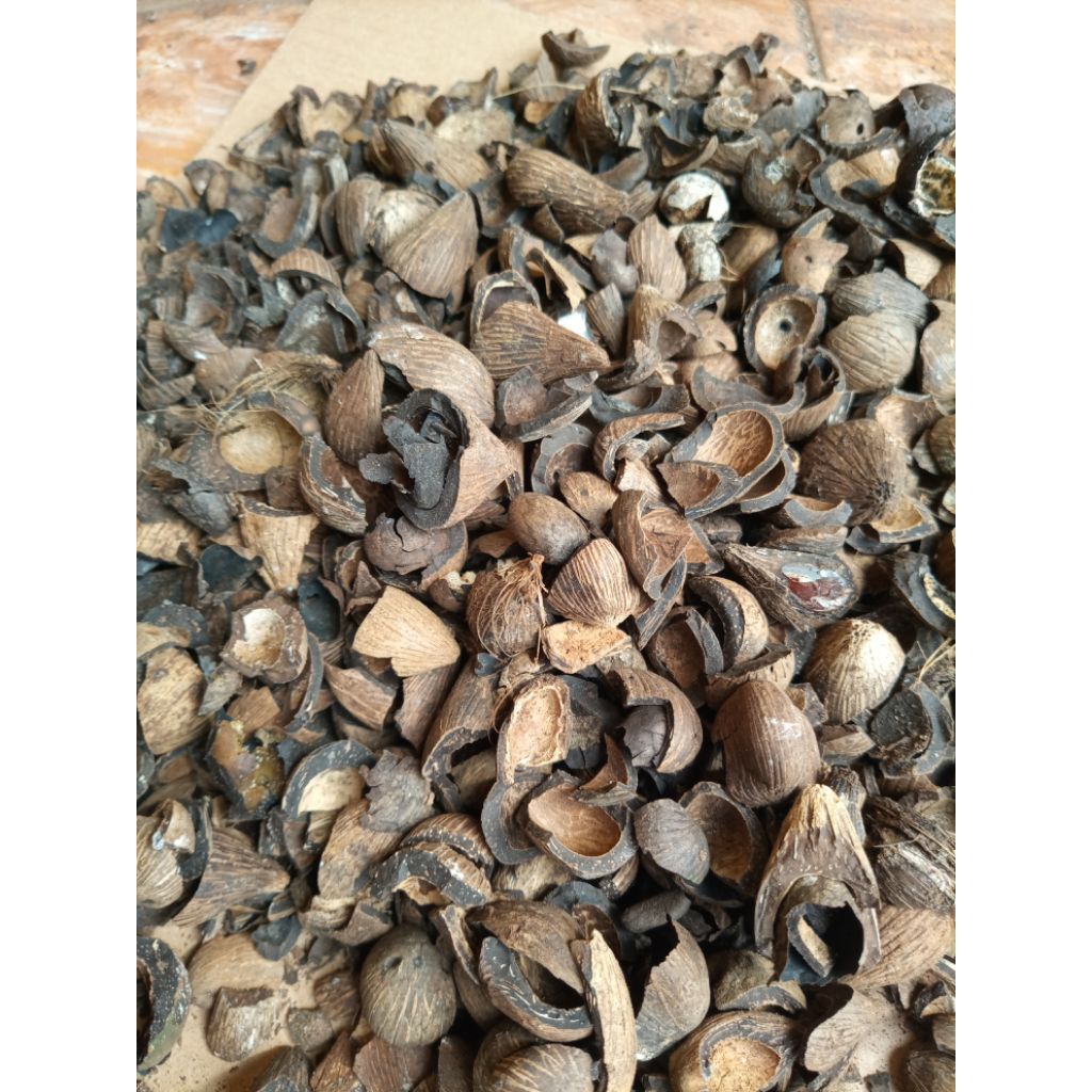 cangkang batok kelapa sawit kering 500 gram