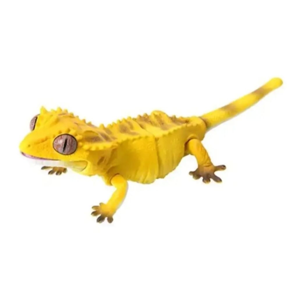 Crested Gecko - Yellow Variant - Ikimono Encyclopedia - Figure Collectible