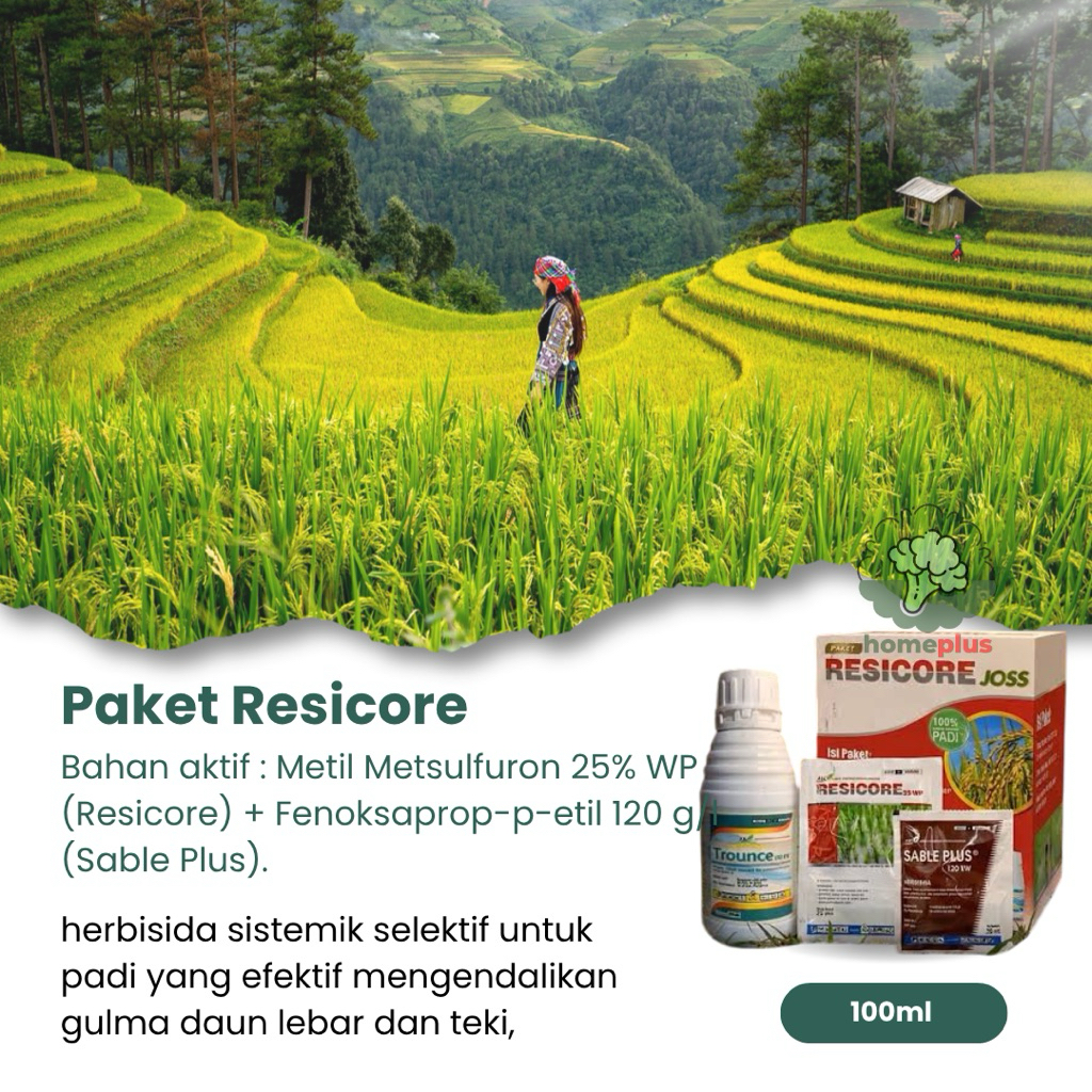 Herbisida Resicore Sistemik Selektif Padi, Mengendalikan Gulma Daun Lebar Dan Sempit