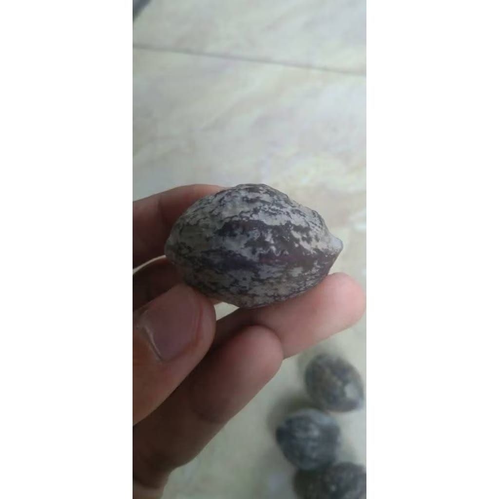 Muncang Adu Jayanti si Linglung Batok Tebal dan kuat Beli 3 Gratis 1