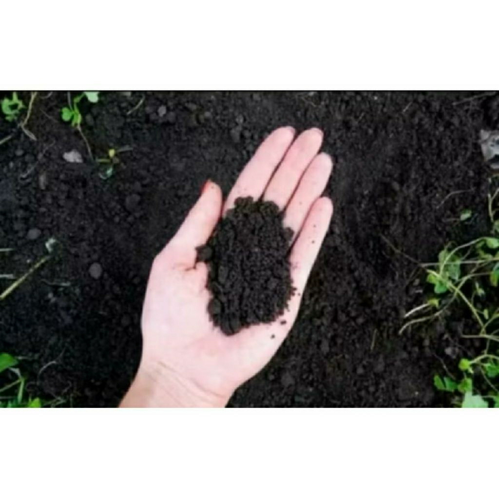 TANAH HITAM SUBUR ORGANIK 1 KG