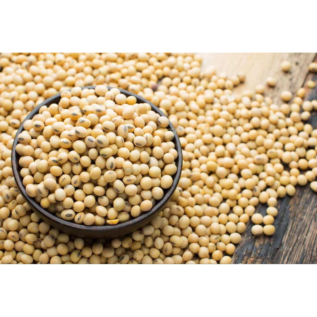 Kacang Kedelai Bola 1 Kg - Bersih, Siap Pakai, Kaya Sari