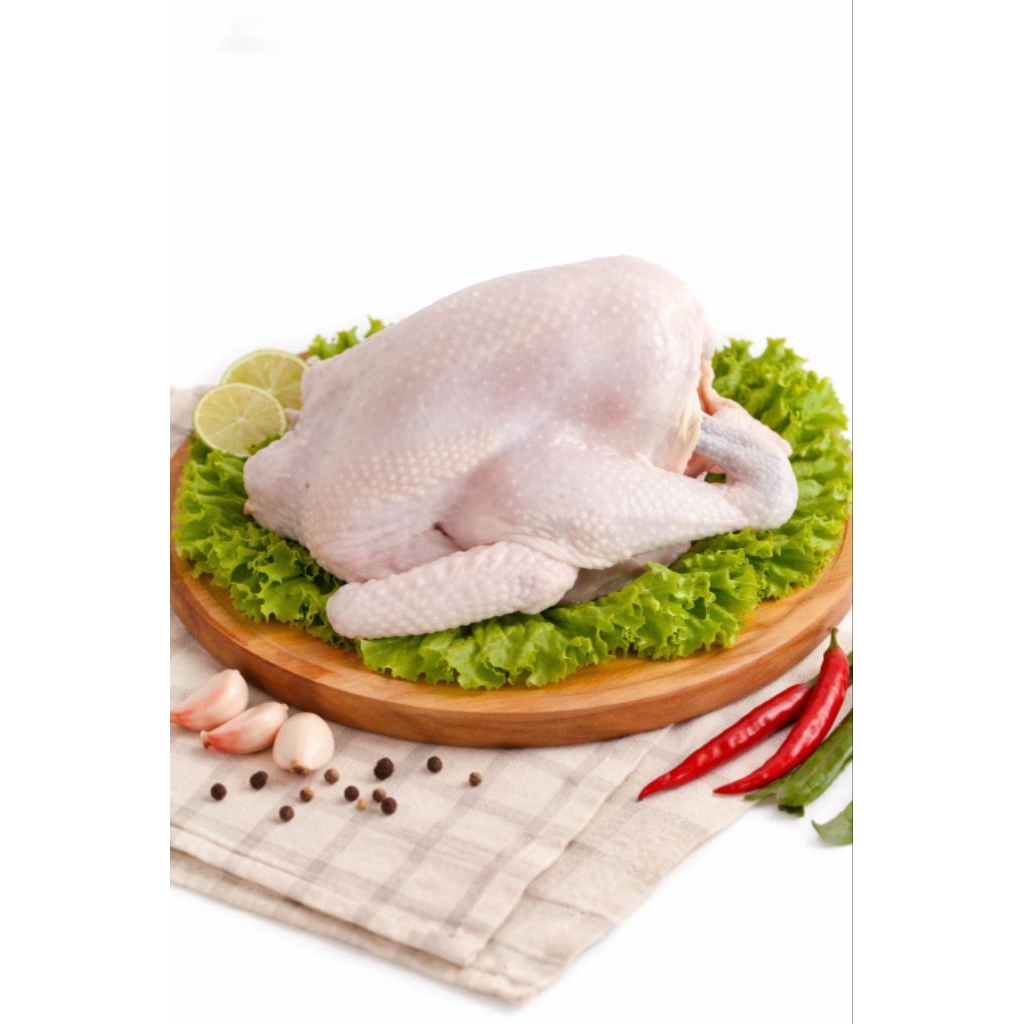 Ayam Pejantan 1kg Ukuran Hidup