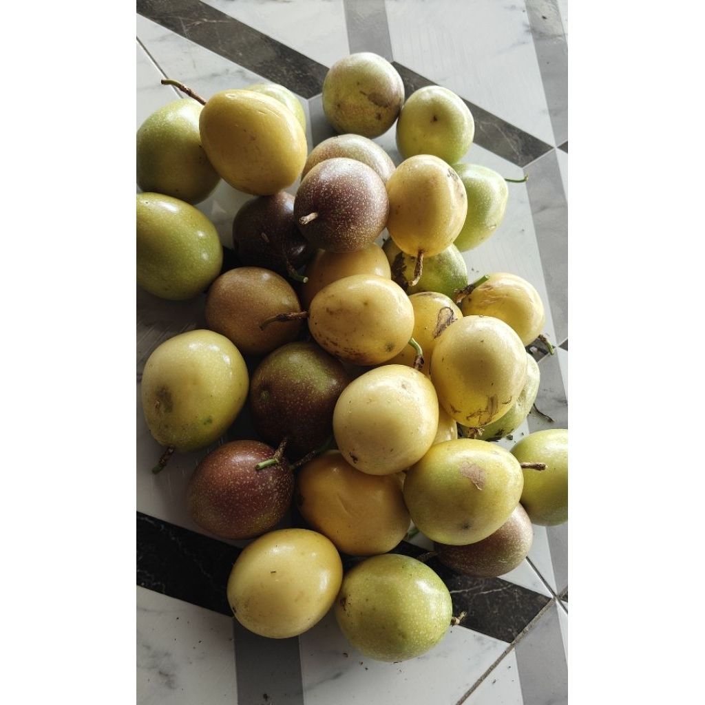 MARKISA KUNING MANIS ASAM HARGA/BUAH