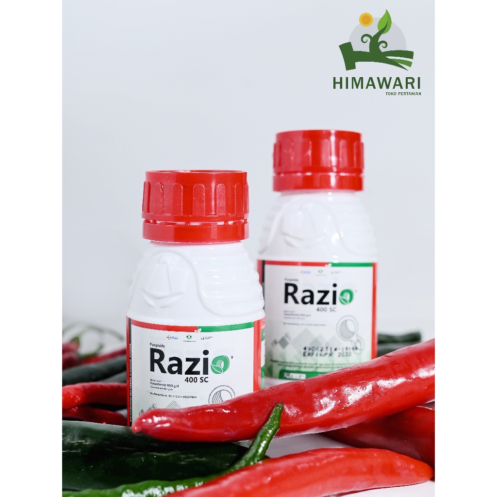 Fungisida Razio 400 SC Cyazofamid 400 g/L Obat Jamur Sistemik Preventif & Kuratif Tanaman Jagung Ken