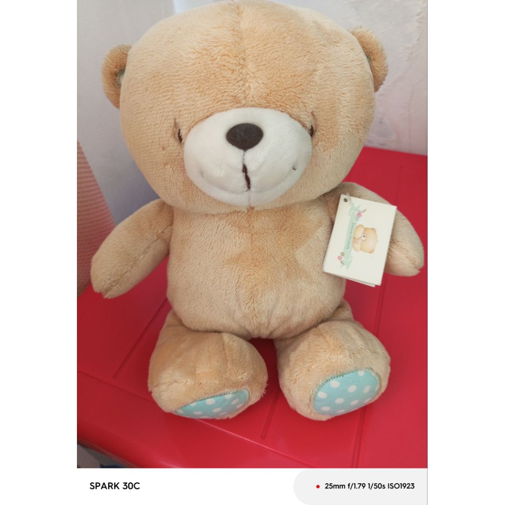 Boneka Teddy Forever Friend (FF)
