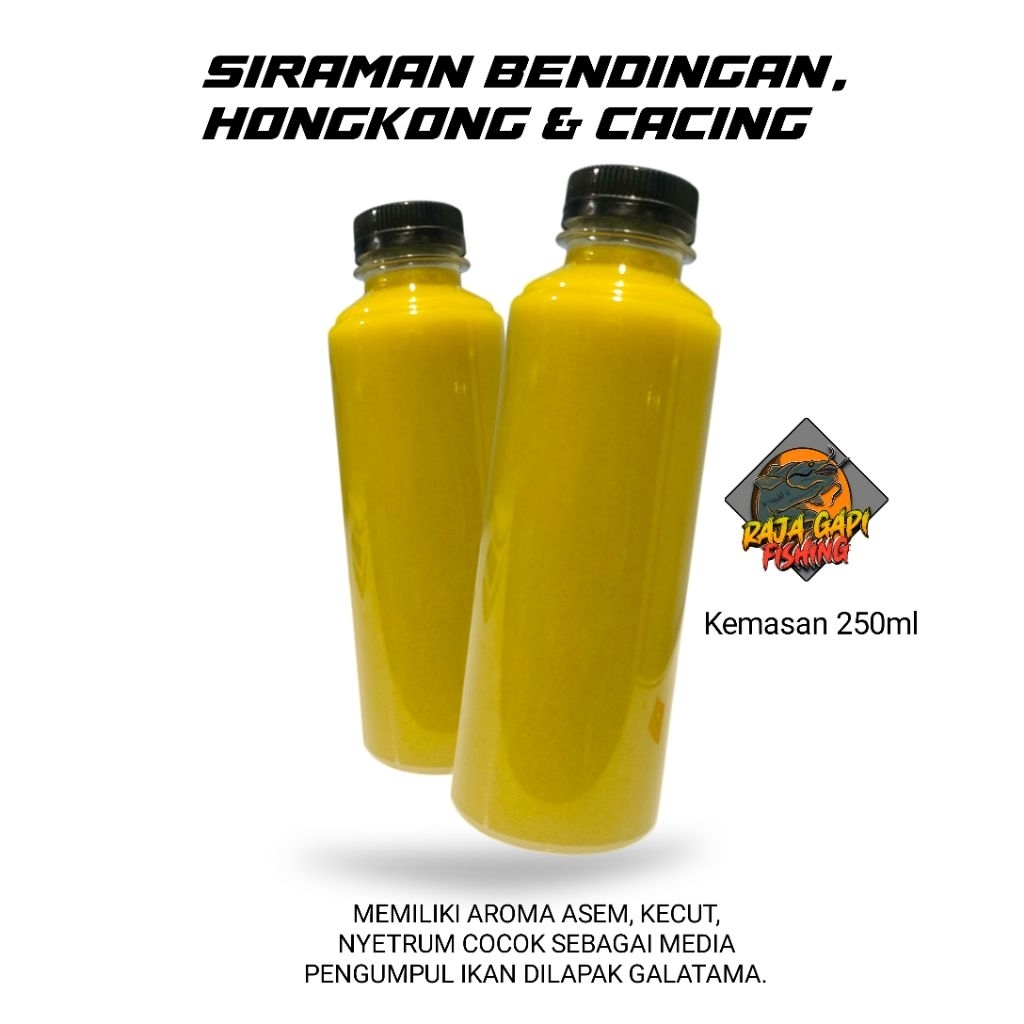 Siraman Bendingan, Hongkong, Cacing Media Pengumpul Ikan Galatama Lele