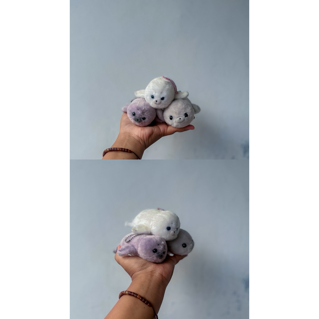 Ganci Seal & Amagoma Amuse,Ganci Amuse Amufun