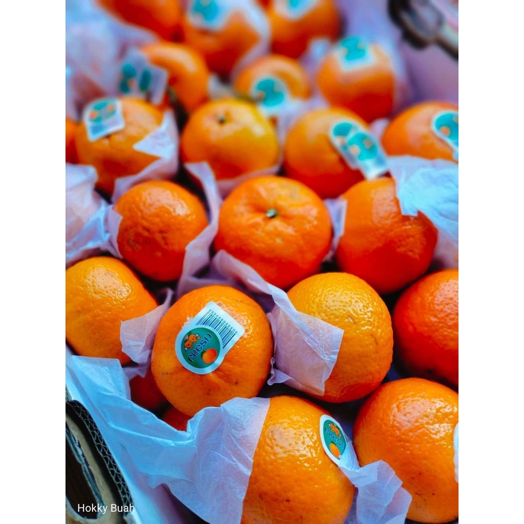 jeruk wogam fresh mandarin premium 1 keranjang  9kg