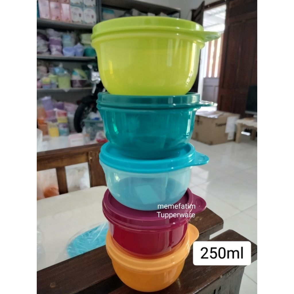 kiddie bowl 250ml Tupperware BARU ECER