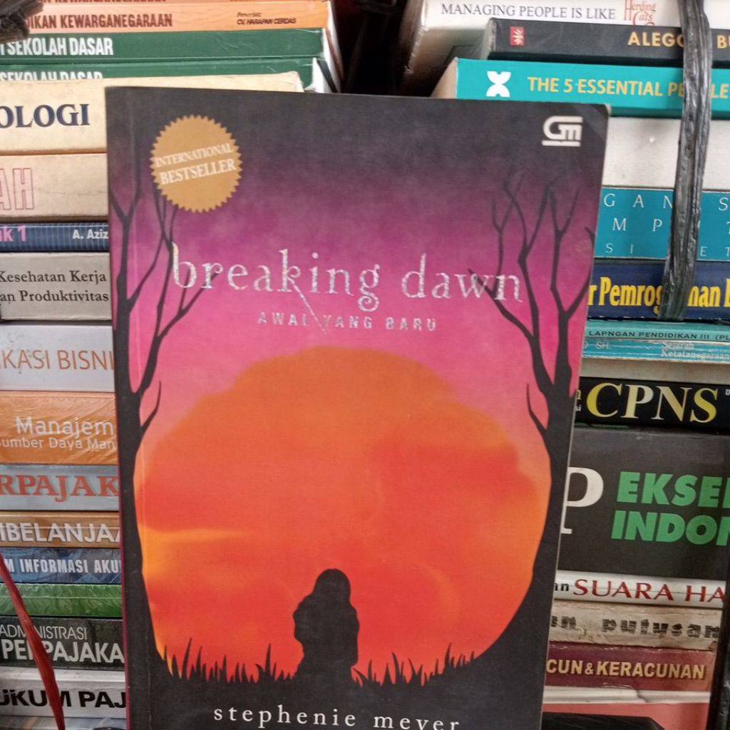 breaking dawn