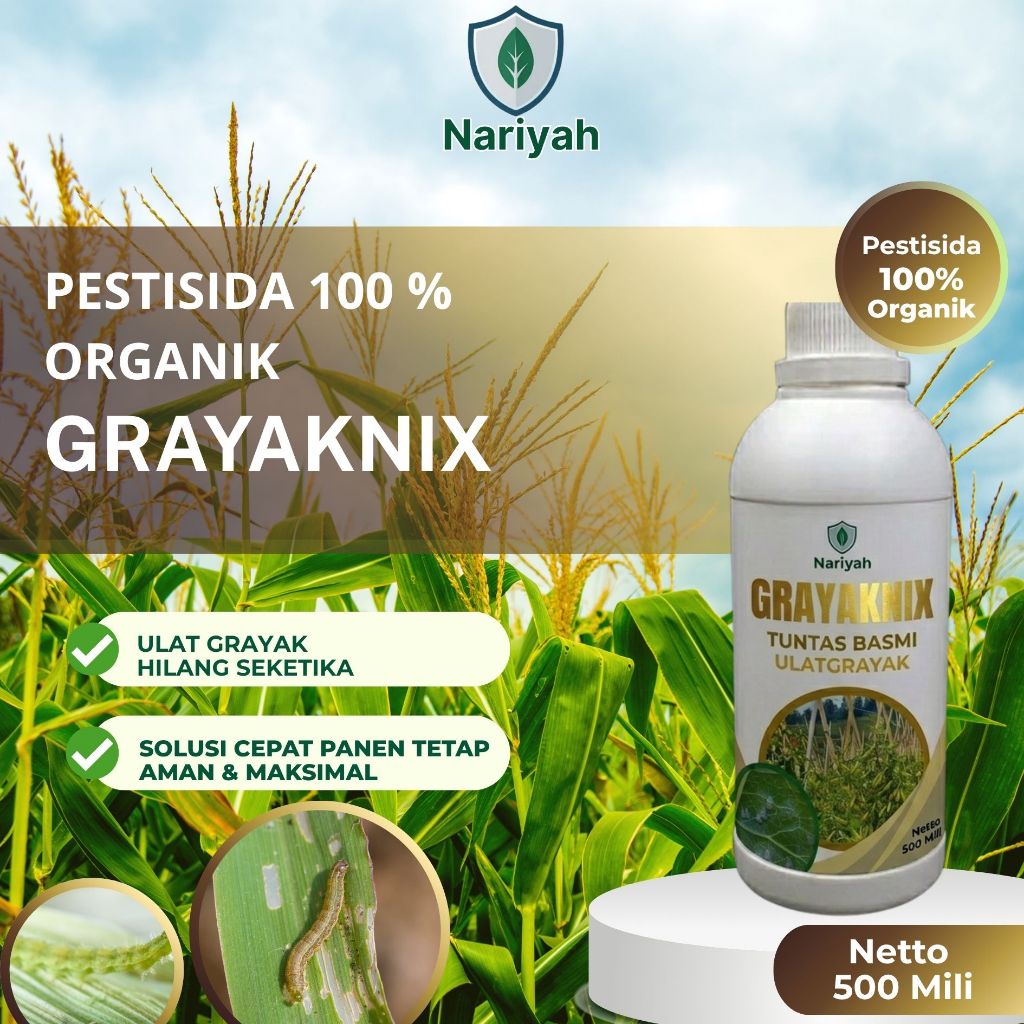 Obat Ulat Grayak Ampuh 500ml – GrayakNix Pestisida Nabati Jagung Bawang Padi Anti Hama Tuntas