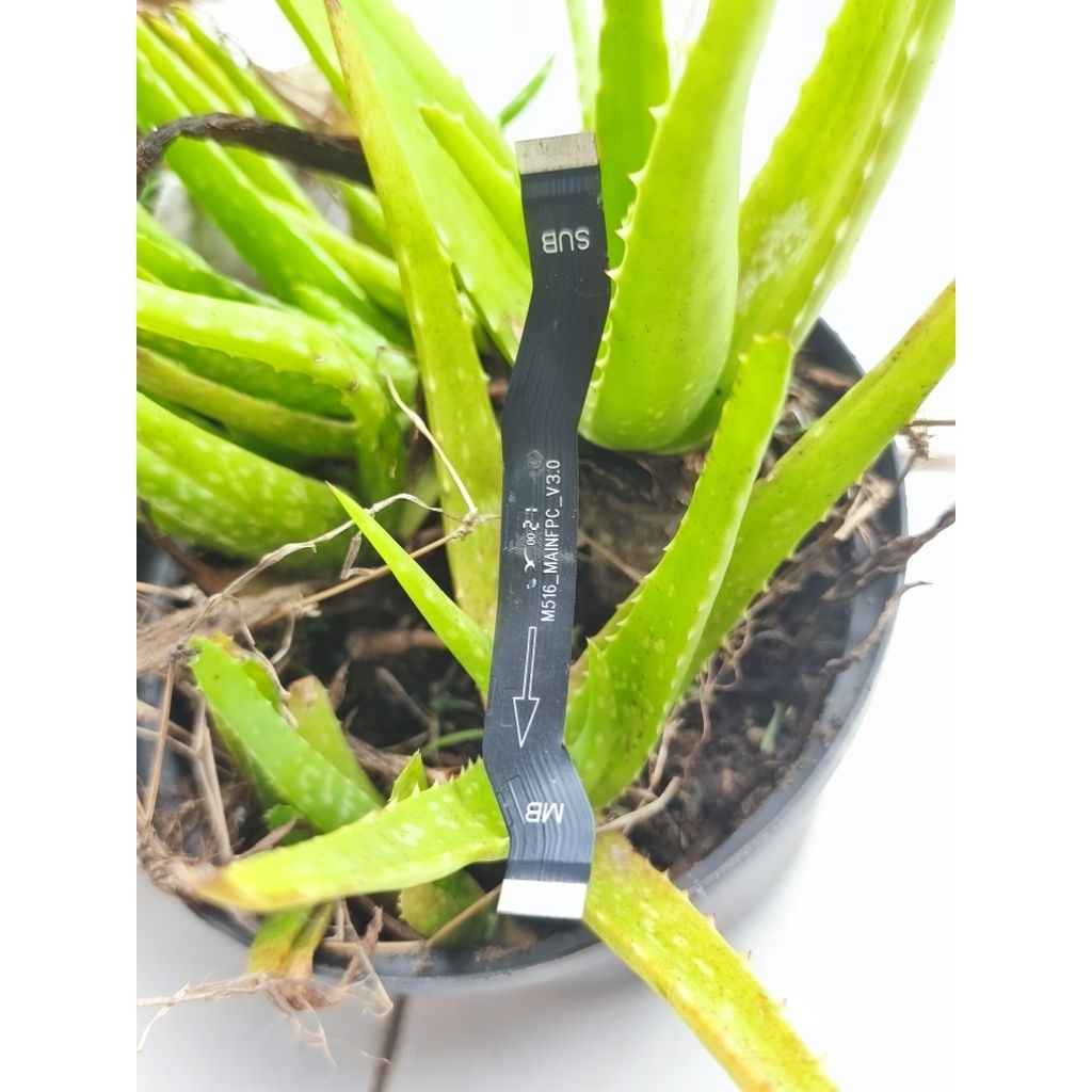 flexible redmi note 8 copotan