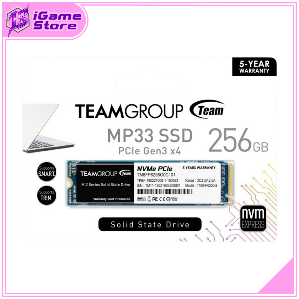 Team MP33 SSD NVMe M.2 / M2 256 GB - NVMe 256GB NAMPOL GAN