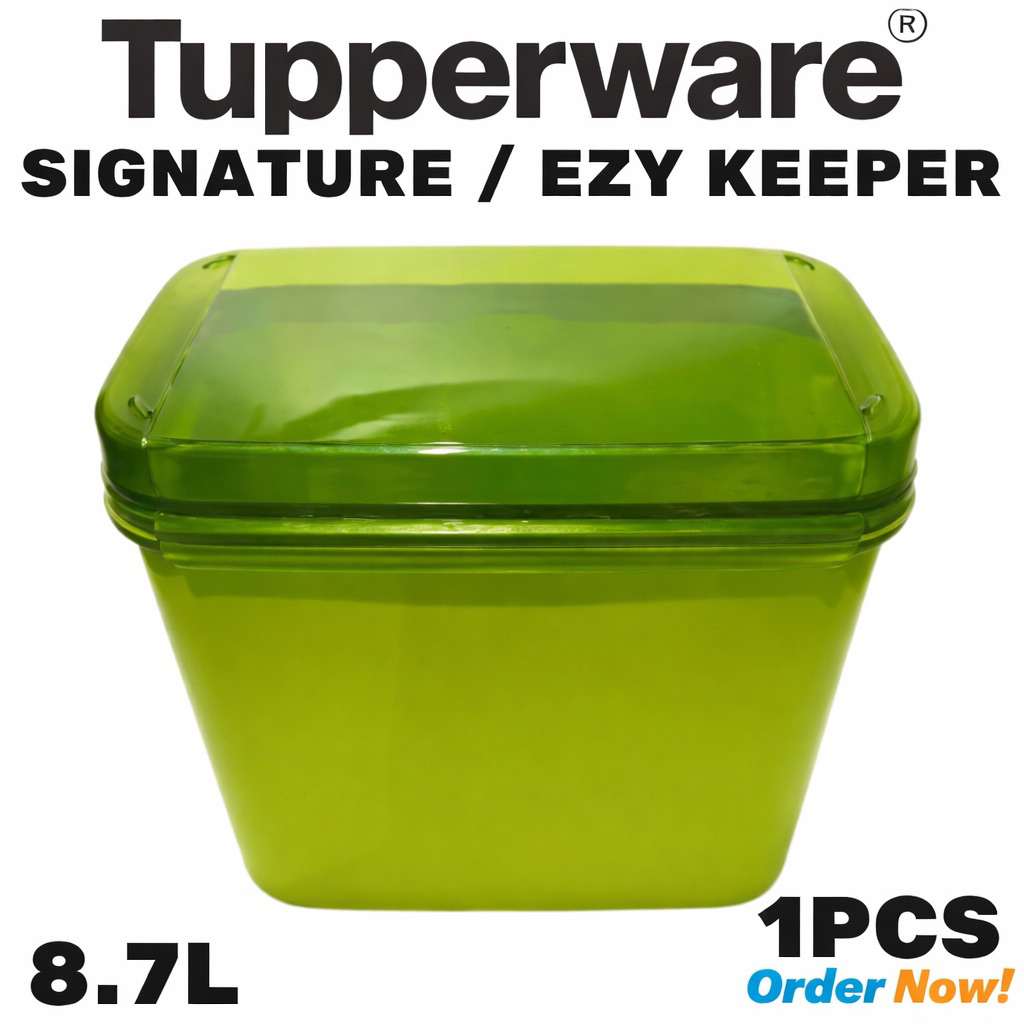 Signature rectangular Tupperware
