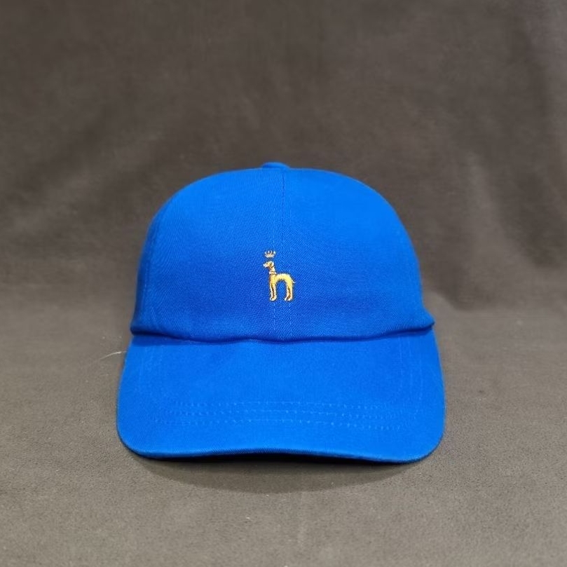 Hazzys Dad Hat