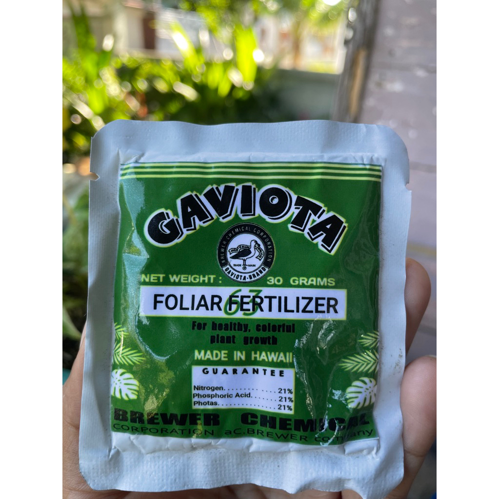 Gaviota 63 kemasan 30 gram