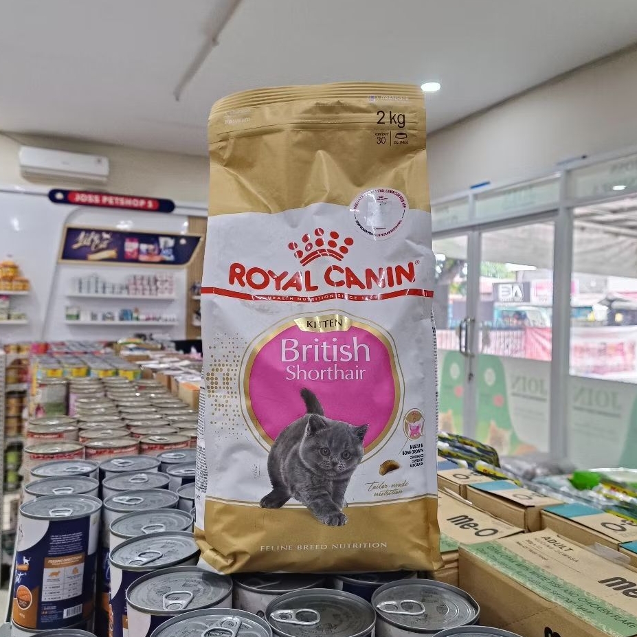 Royal Canin British Kitten Kemasan 2kg - Makanan Untuk Anak Kucing British