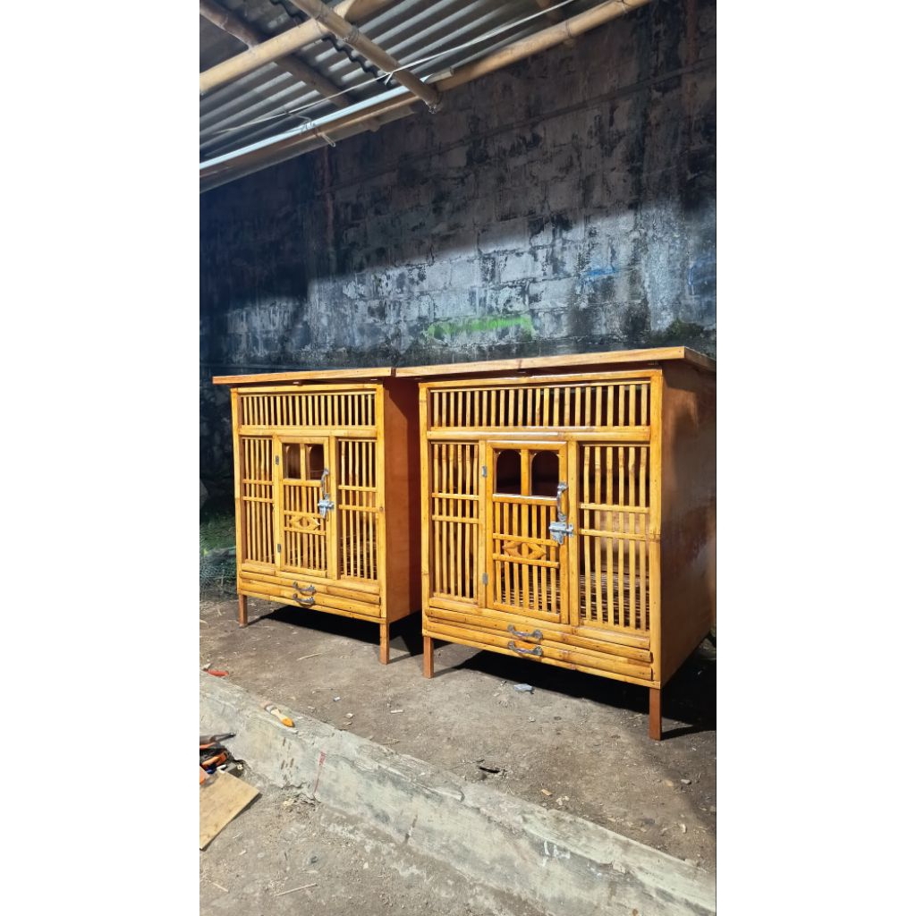 kandang box ayam