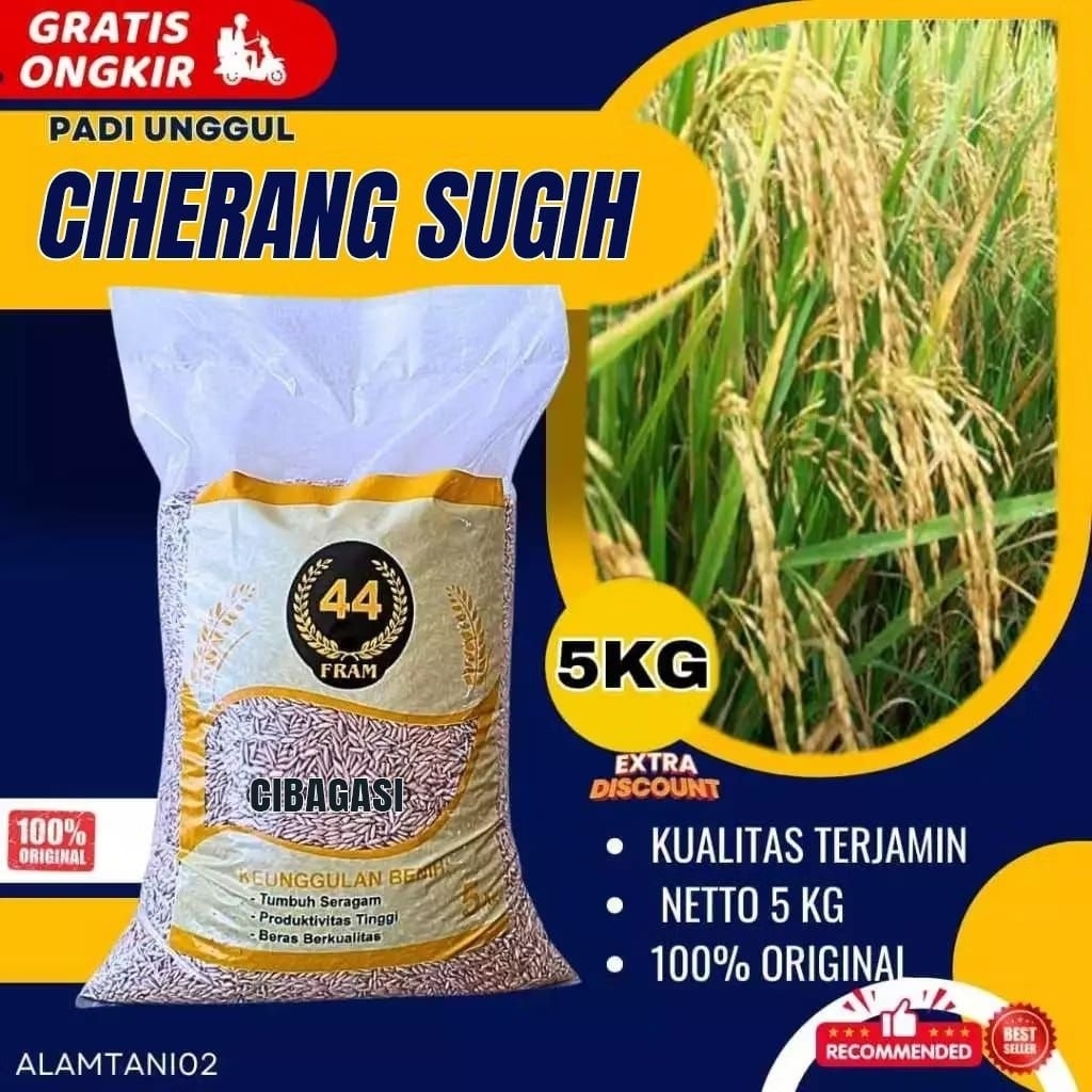 Bibit Padi Benih Padi Ciherang Sugih Kemasan 5 kg Original
