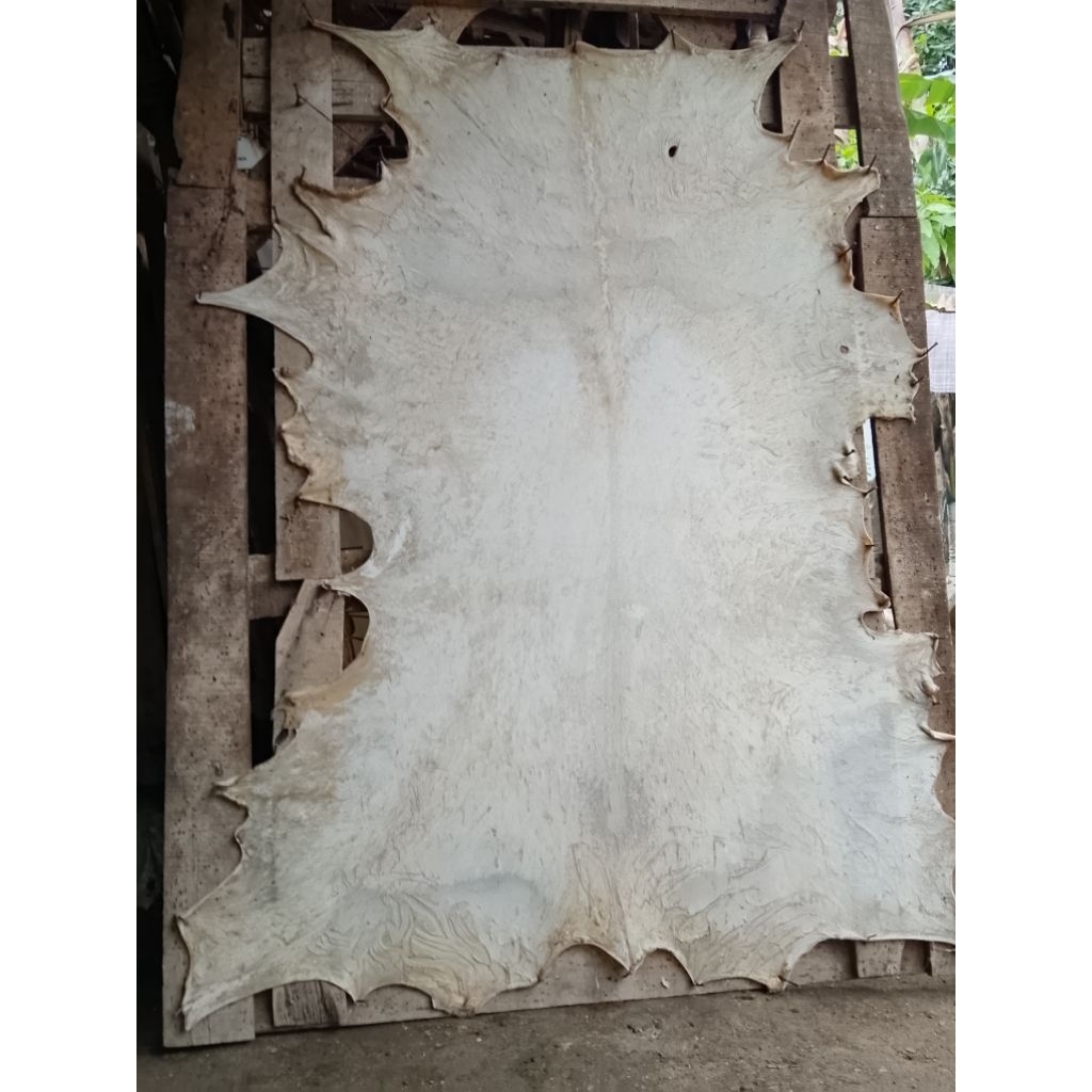 [NATURAL] KULIT KAMBING JANTAN{ SUPER TEBAL}LEMBARAN BAHAN WAYANG
