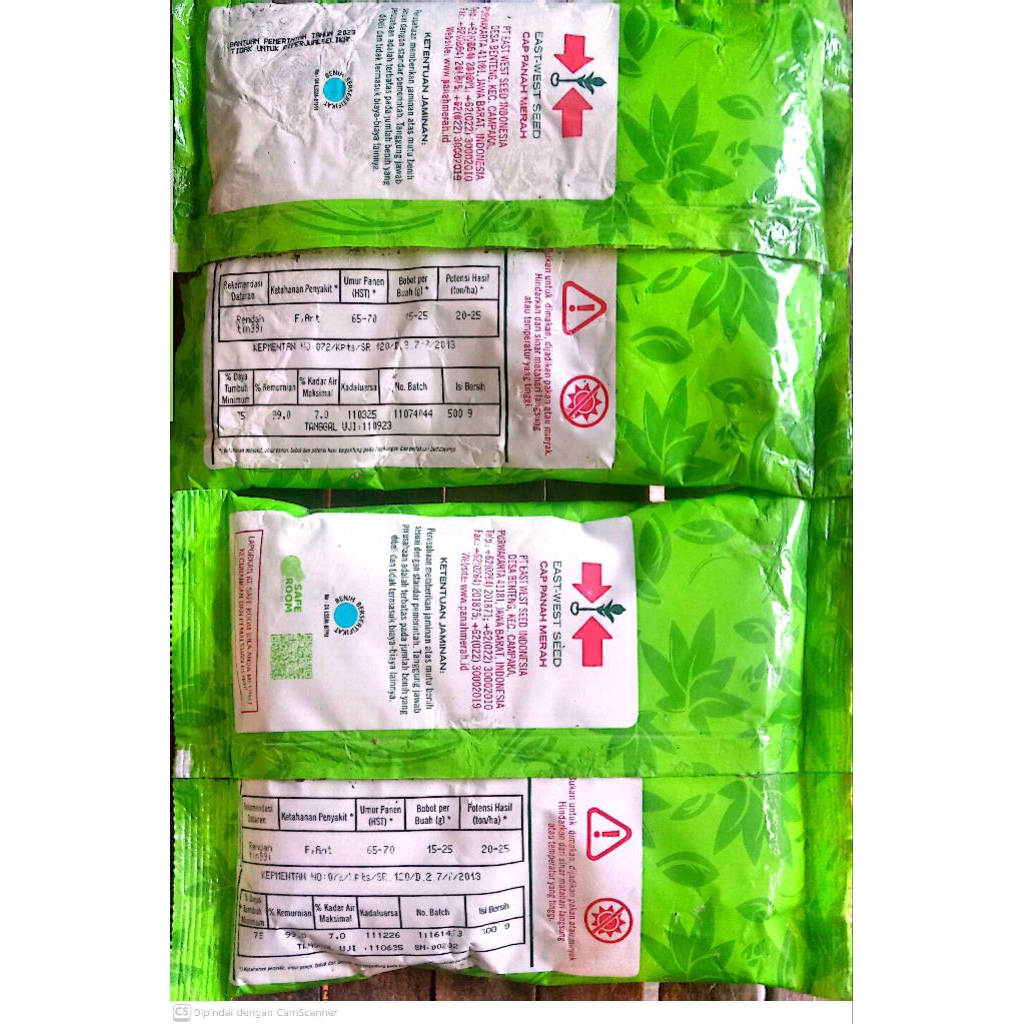 bibit bawang merah