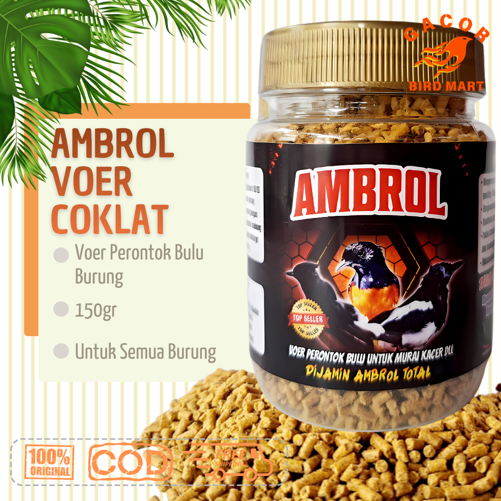 Voer Ambrol Coklat Pakan Burung Perontok Bulu Murai Kacer Anti Macet Mabung Dijamin Rontok Total
