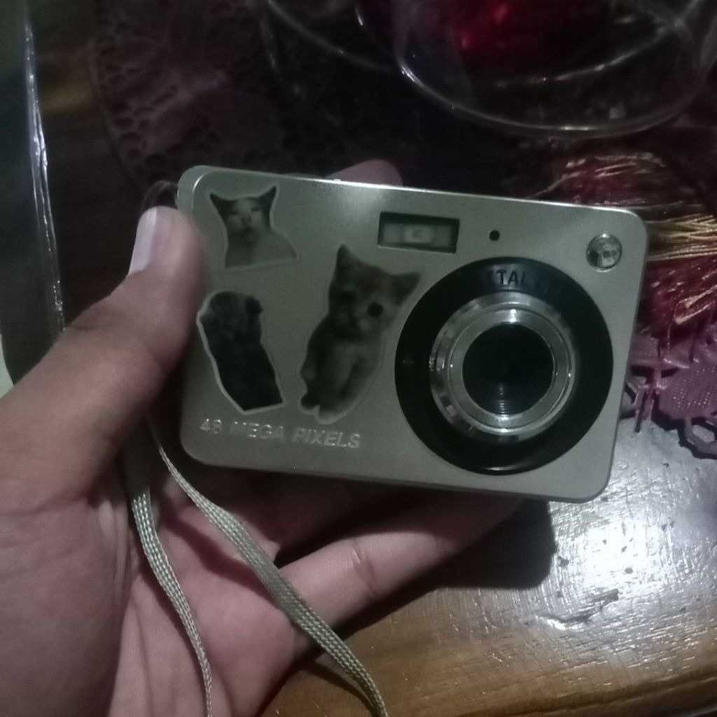 digicam