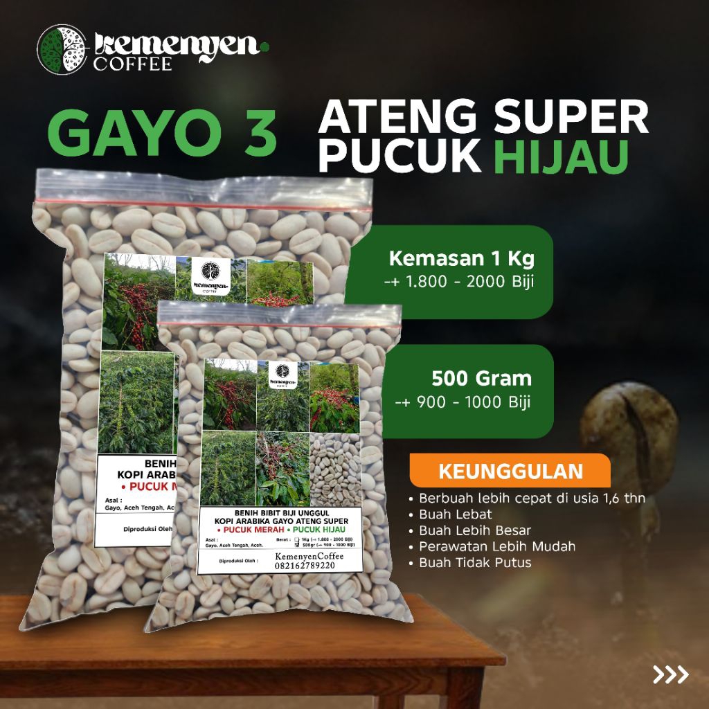 BENIH / BIBIT BIJI UNGGUL KOPI ARABIKA GAYO VARIATES ATENG SUPER PUCUK HIJAU