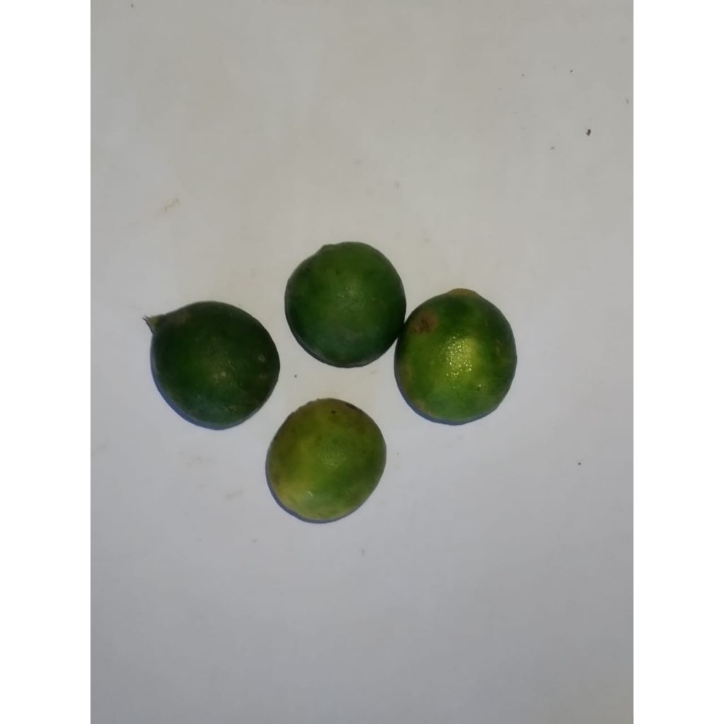 Jeruk Nipis/Jeruk Nipis Segar/120 Gram