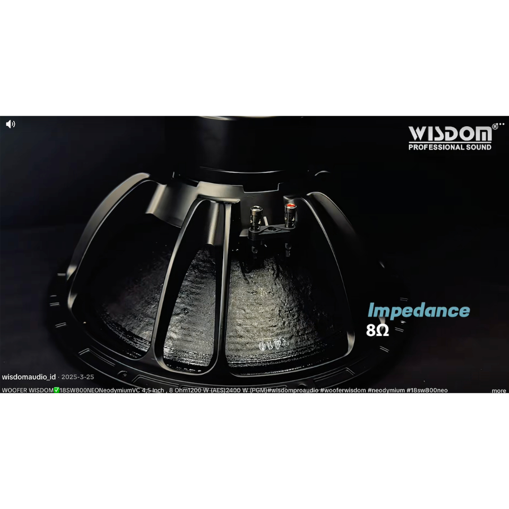 Wisdom 18SW800 Neo – 18 Inch Komponen Wisdom – 18-SW800 Neo / 18 SW 800 NEO