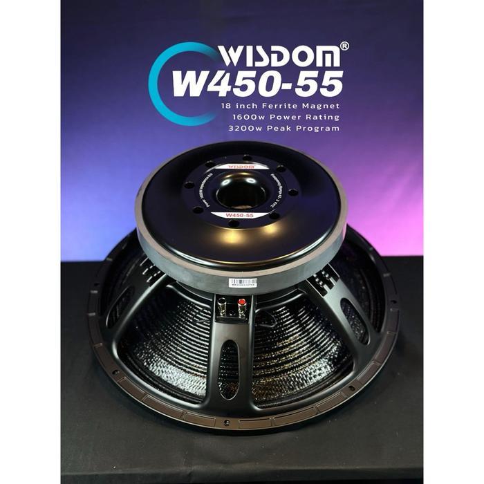 Speaker balap wisdom W450-55 / W450 55 carbon original