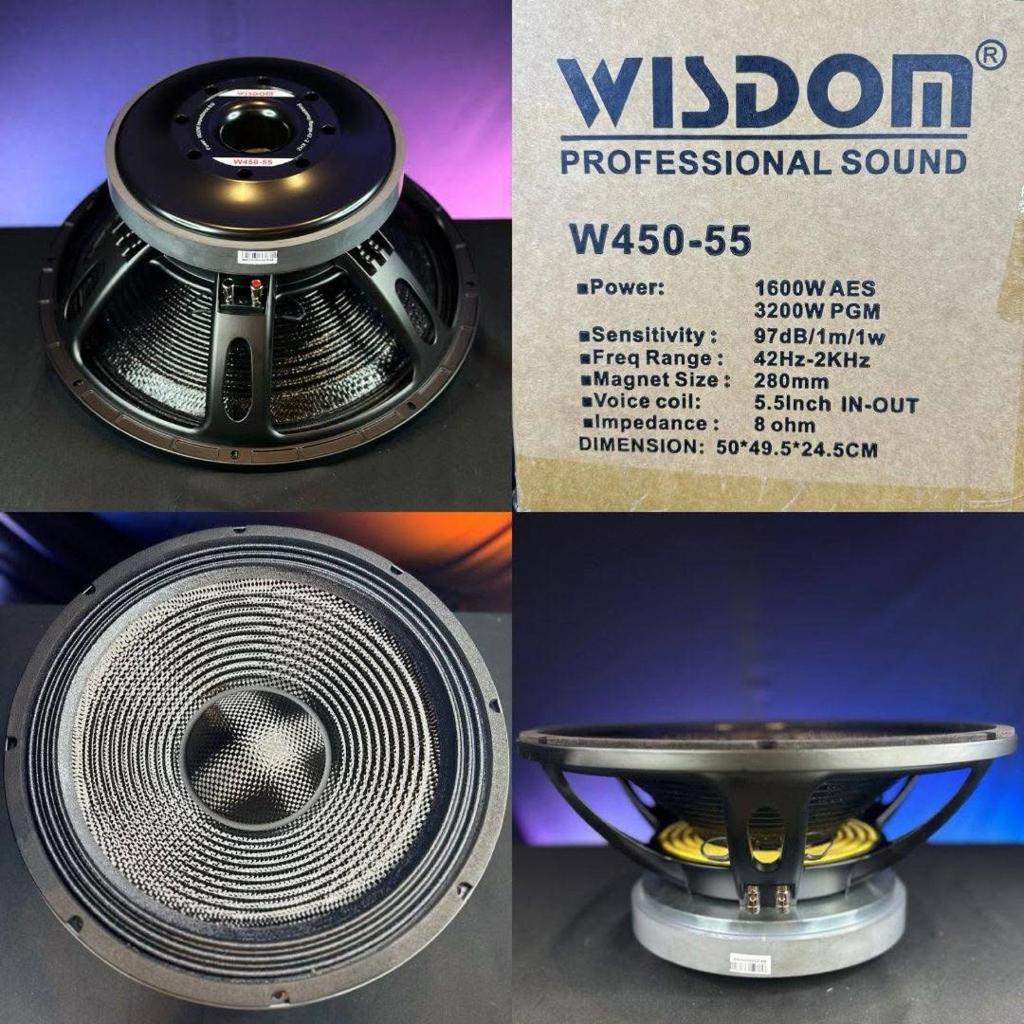Speaker balap wisdom W450-55 / W450 55 carbon original